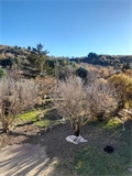 Terrain à bâtir à la vente